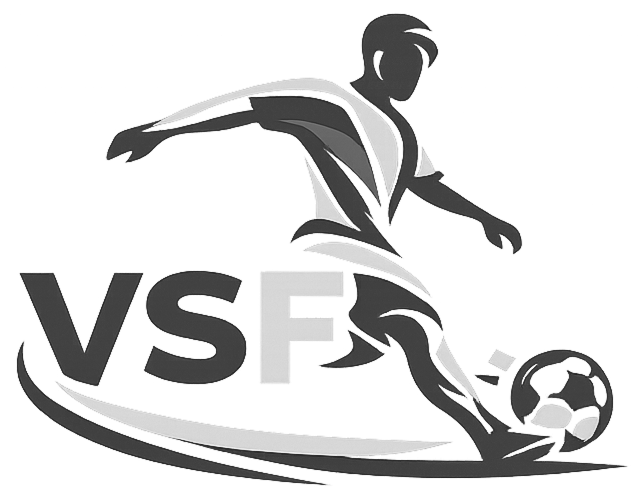 Villa Sin Fronteras Logo